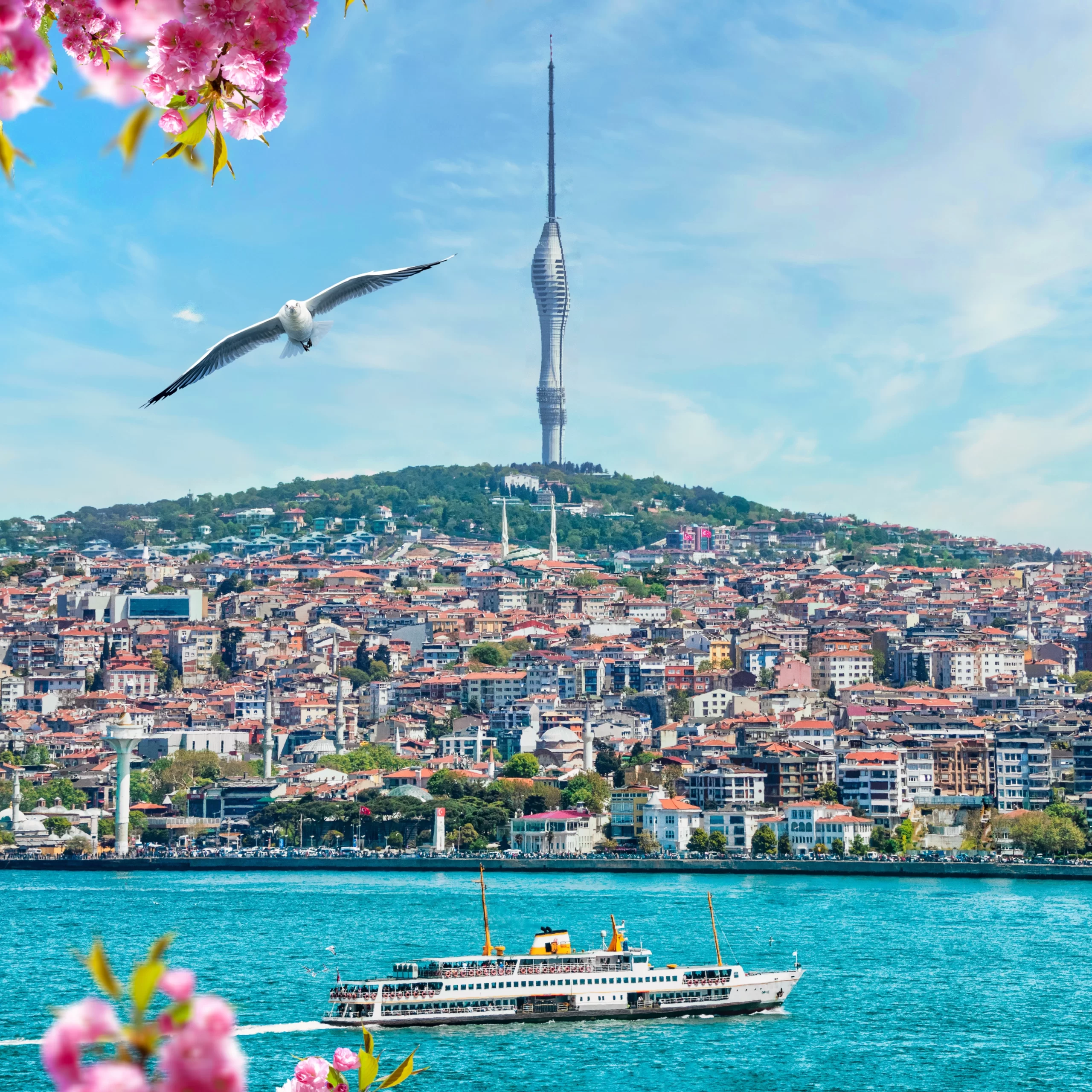 A Fast Istanbul Tour for Cruise Passengers: Cisterns and Hagia Sophia