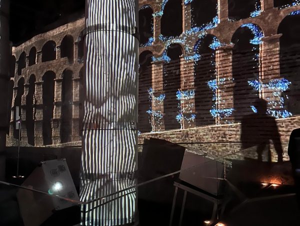 WhatsApp Image 2024-11-11 at 16.17.12